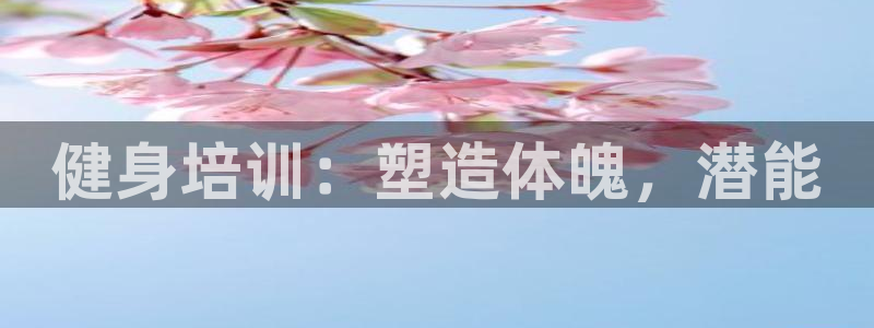 龙 八国际