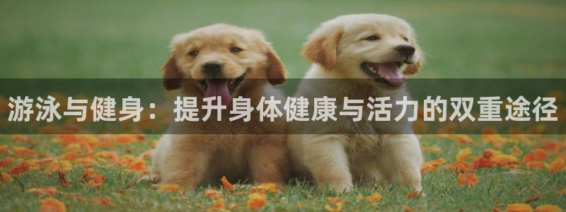 龙8国际正规吗