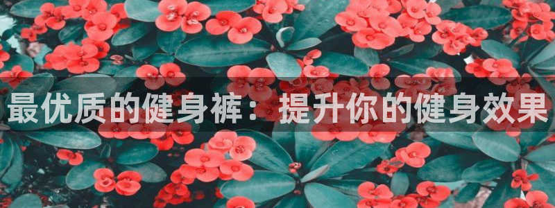 龙8国际登录口