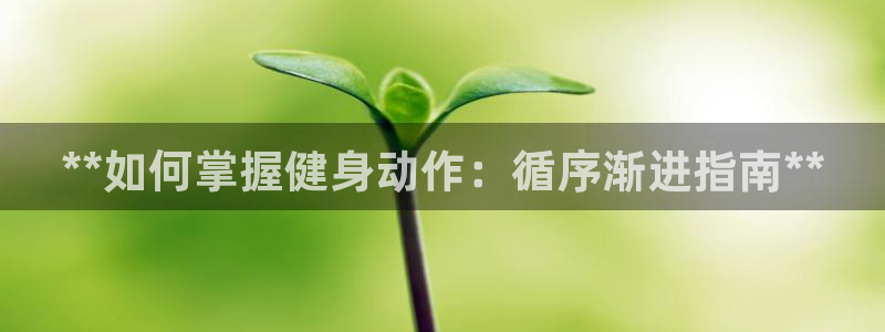 龙8国际被侦破了吗