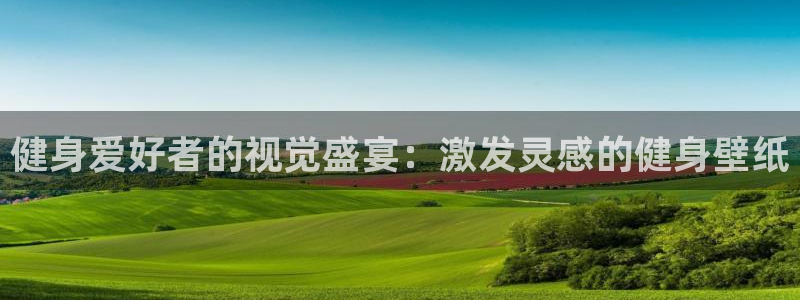 龙8游戏平台的网站