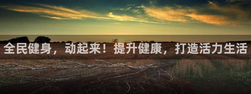 龙8国际手机版官网