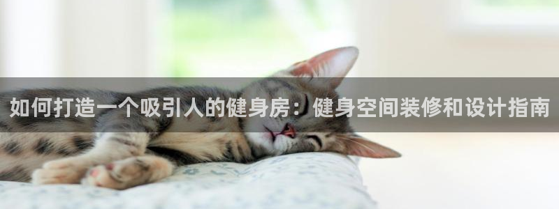 国际龙8官网pt客户端