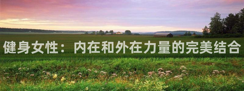 国际龙8hk