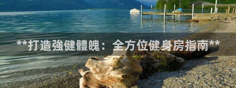 龙8国际app 下载