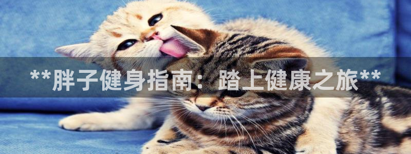 龙8国际.com