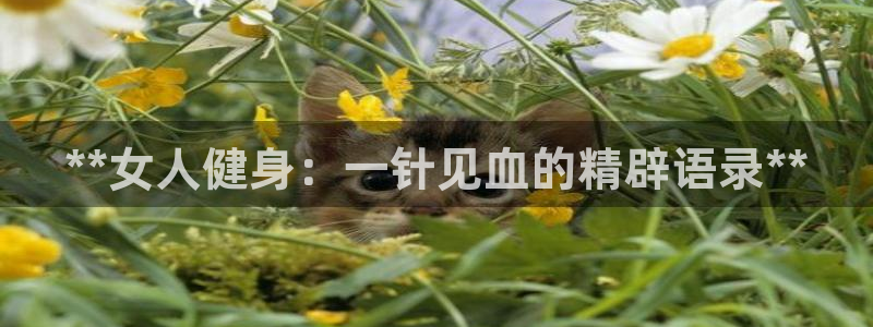 龙8国际平台登录