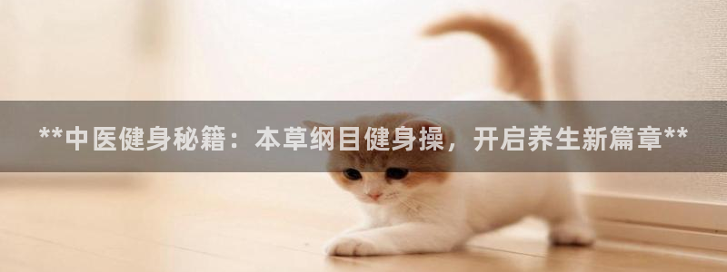 龙八国际娱乐网页多少