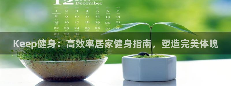 龙8国际是什么电影