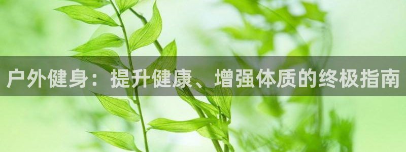 龙八国际官方网