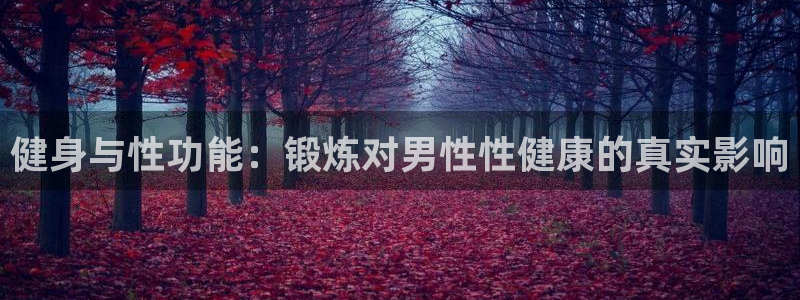龙8国际怎么样