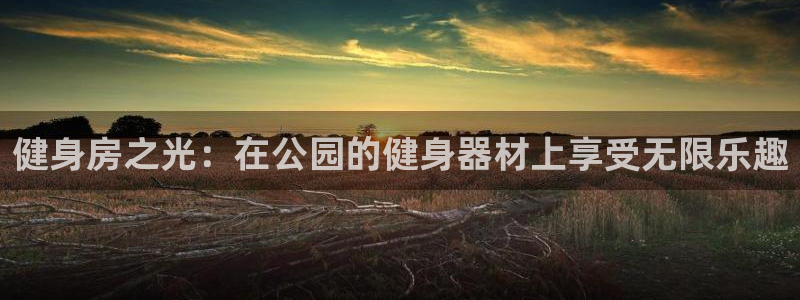 龙8国际手机版官网