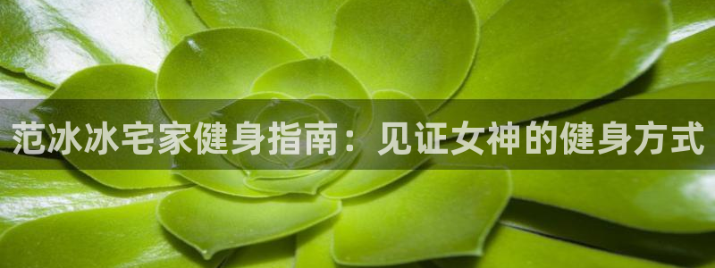 龙8国际下载