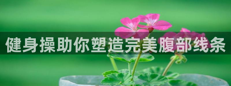 龙8国际网站