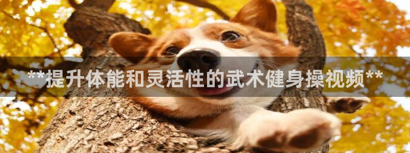 龙8国际官网版玩法