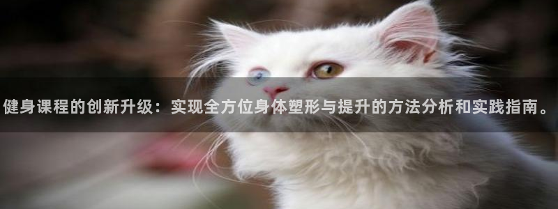 龙8国际app 下载