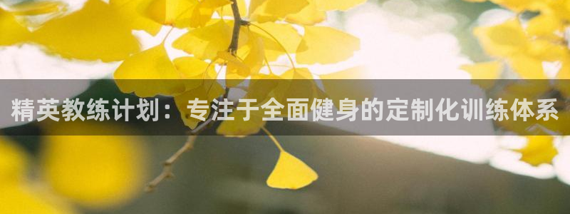 龙8游戏入口
