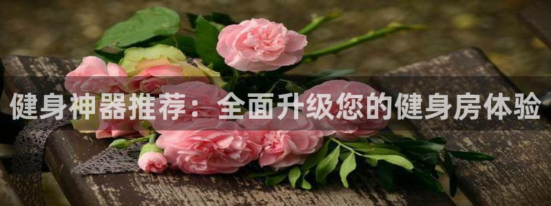 龙8国际开户