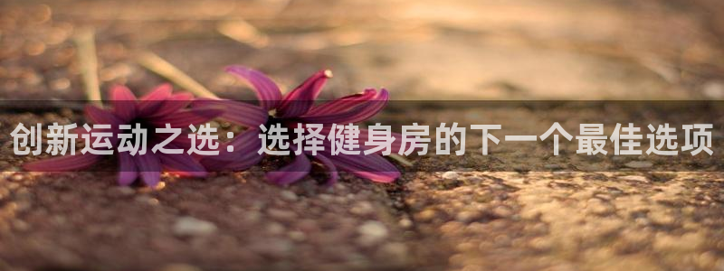 龙8国际手机游戏官网版