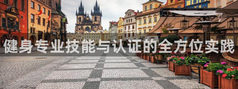 龙八国际城