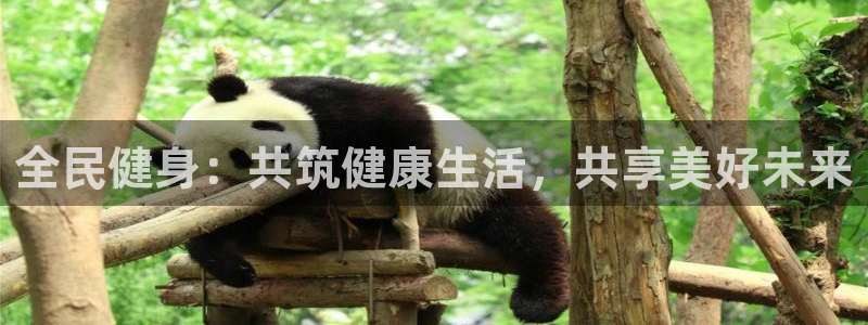 龙8国际-我的