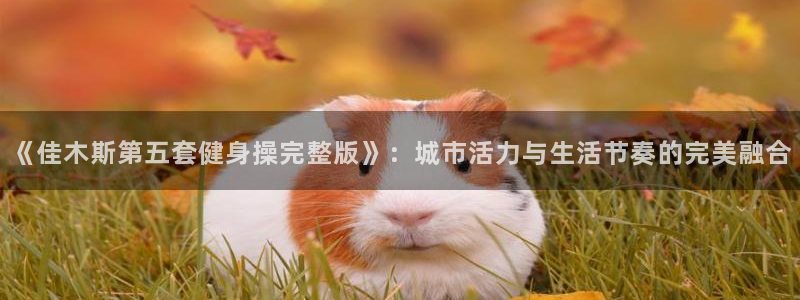 龙8电子游艺网址多少