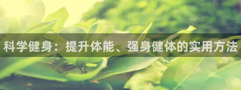 龙8国际pt网址官方