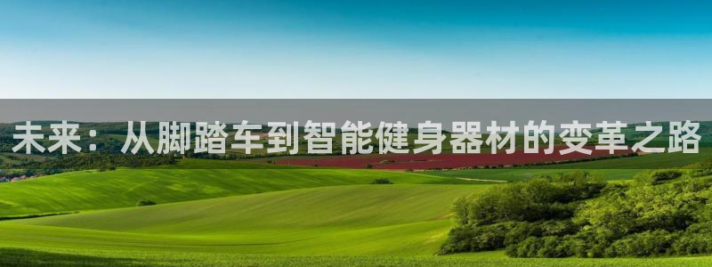 龙8国际app 下载