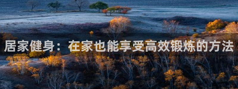 龙8国际登入