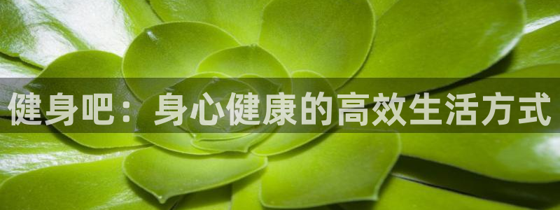 龙八国际app客户端下载不了