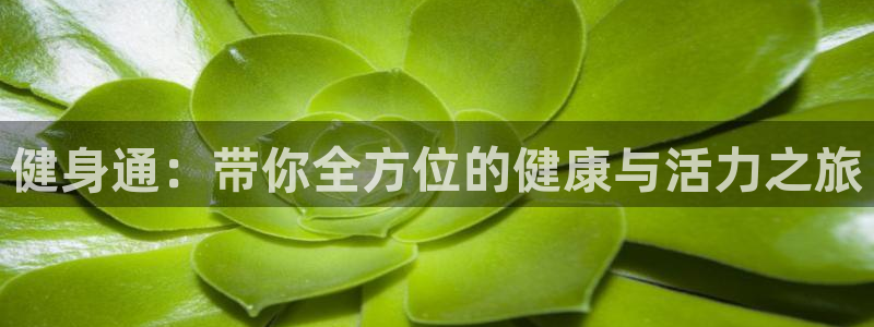 龙8国际app官网下载