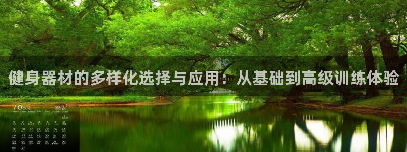 龙8国际玩家