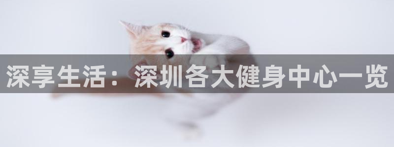 龙8国际是什么电影