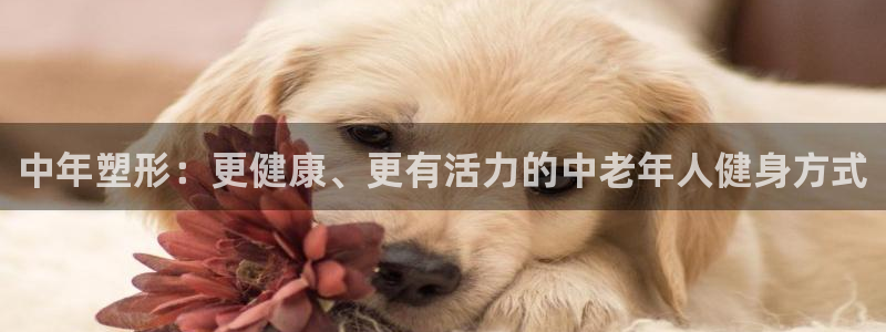 龙8国际官方网手机版下载安装