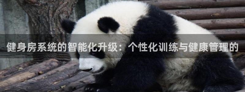 龙8国际官方网站龙8国际pt老虎机