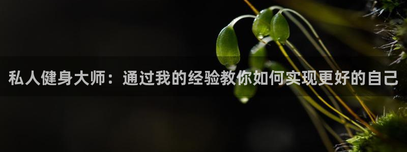 龙8老虎机游戏网站多少
