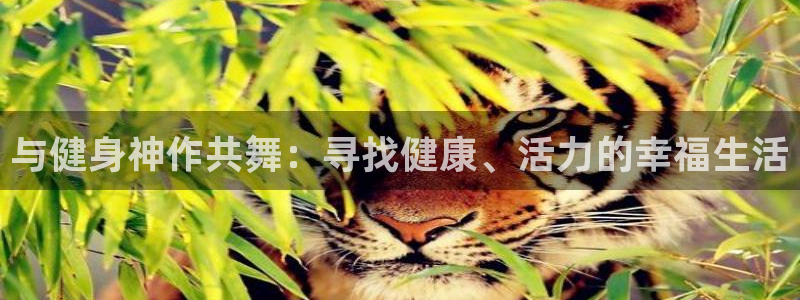 国际龙8官方网站