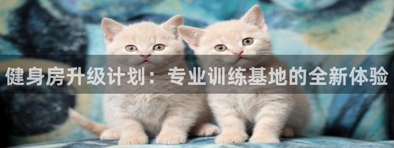 龙8游戏平台的网站