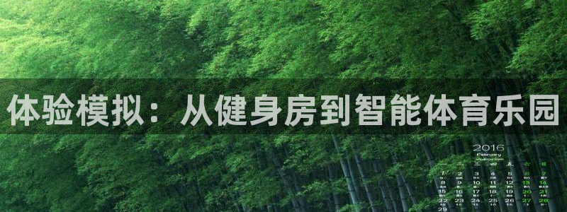 龙8国际是什么