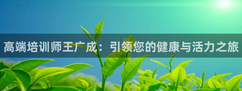 龙八国际城