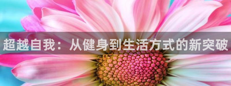 龙八国际娱乐老板是谁