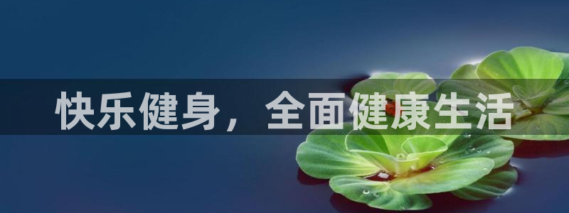 龙8娱乐国际城