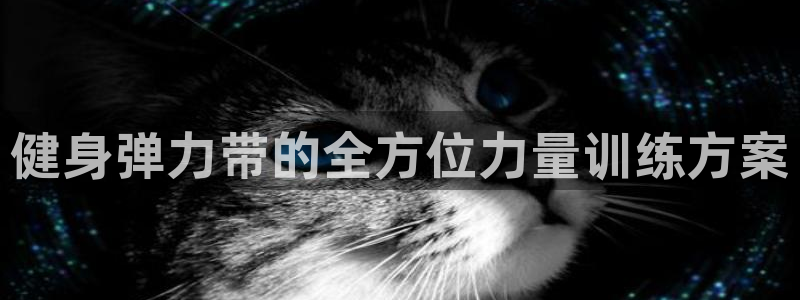 龙8国际平台