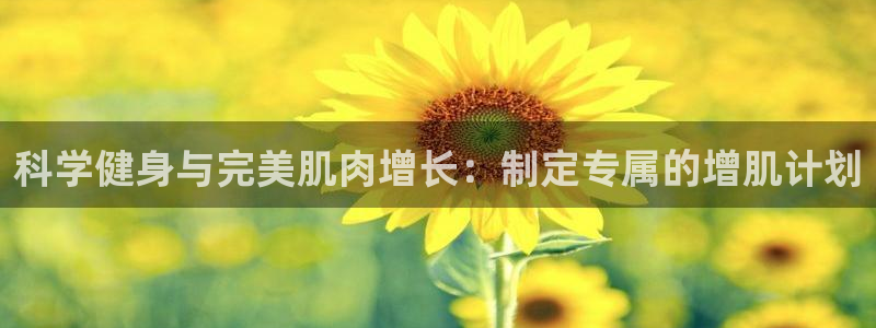 龙8国际棋牌