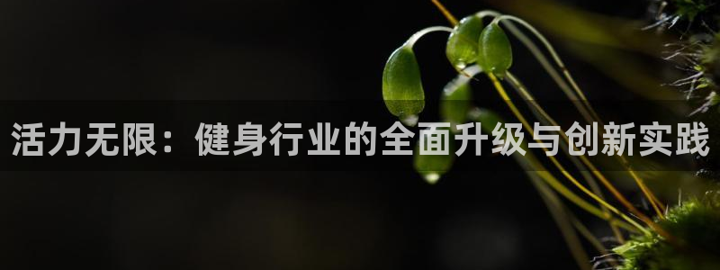 龙8国际app下载安装