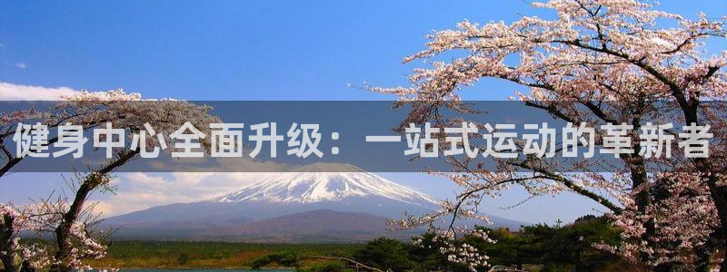 龙8国际唯一官网登录口