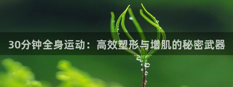 龙8国际官方平台