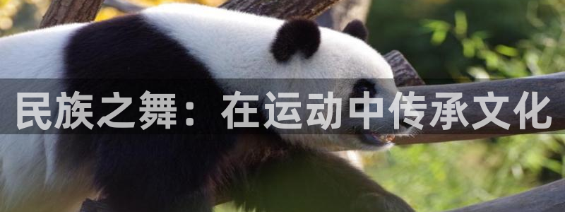 龙8国际官网老虎机