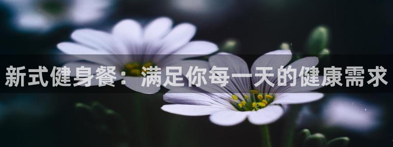 龙8国际是什么平台