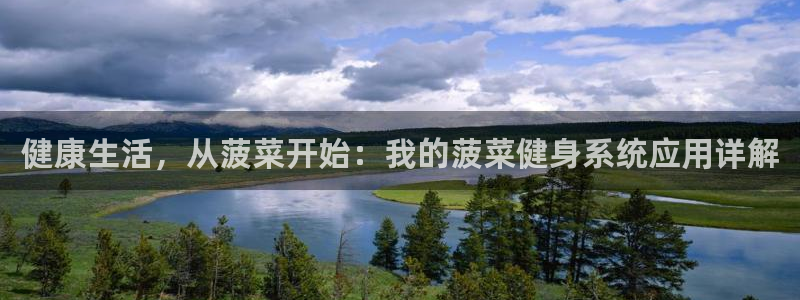 龙8国际官方网站